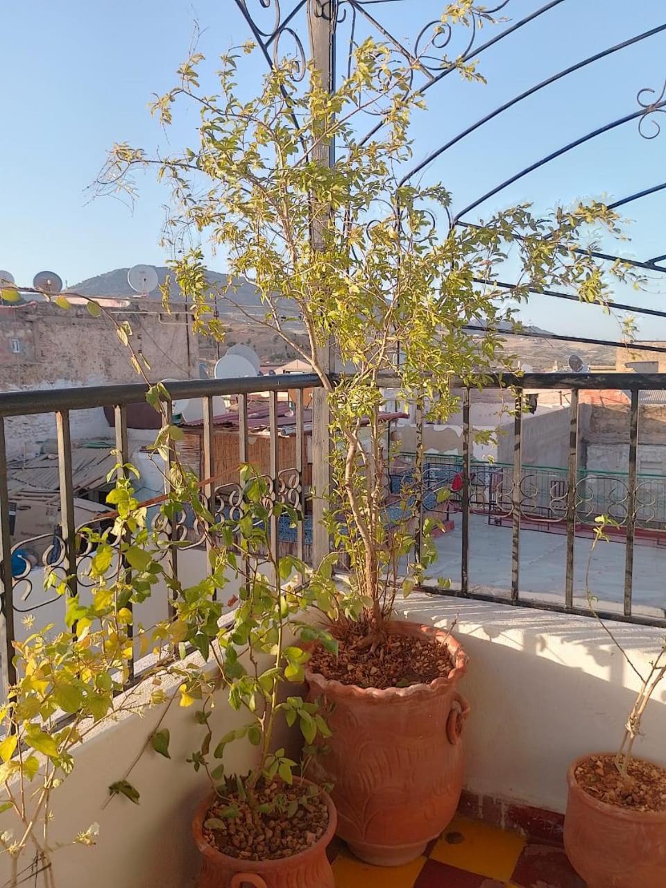 Riad Drissia Panoramic Fes Ngoại thất bức ảnh